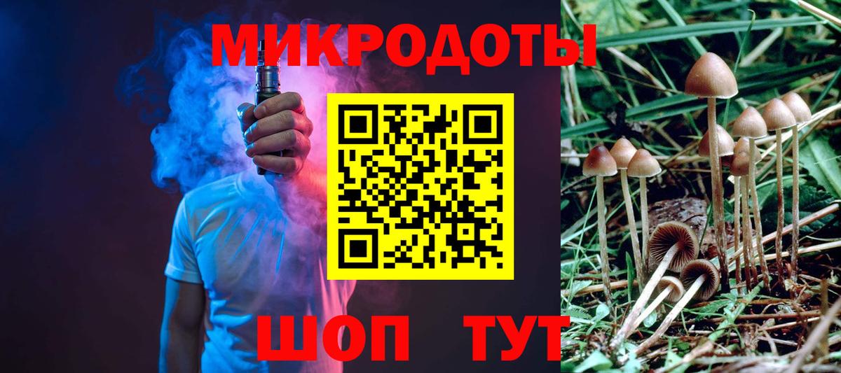 Галлюциногенные грибы Psilocybine cubensis Норильск
